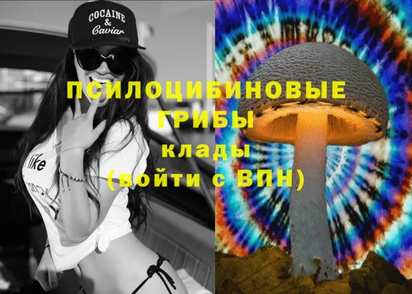 скорость Абаза