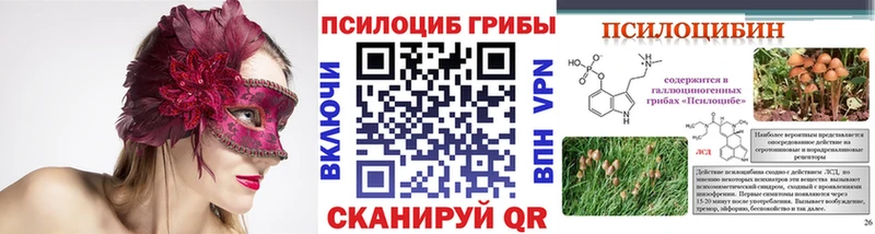 Псилоцибиновые грибы прущие грибы  Тихорецк 