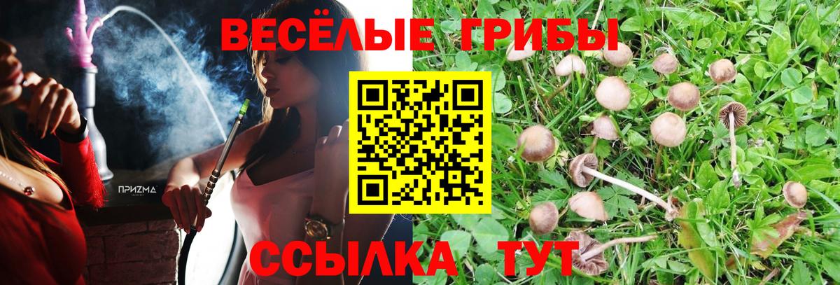 Тихорецк  Галлюциногенные грибы мухоморы  Вход с VPN  дарнет шоп  Псилоцибиновые грибы ЛСД 
